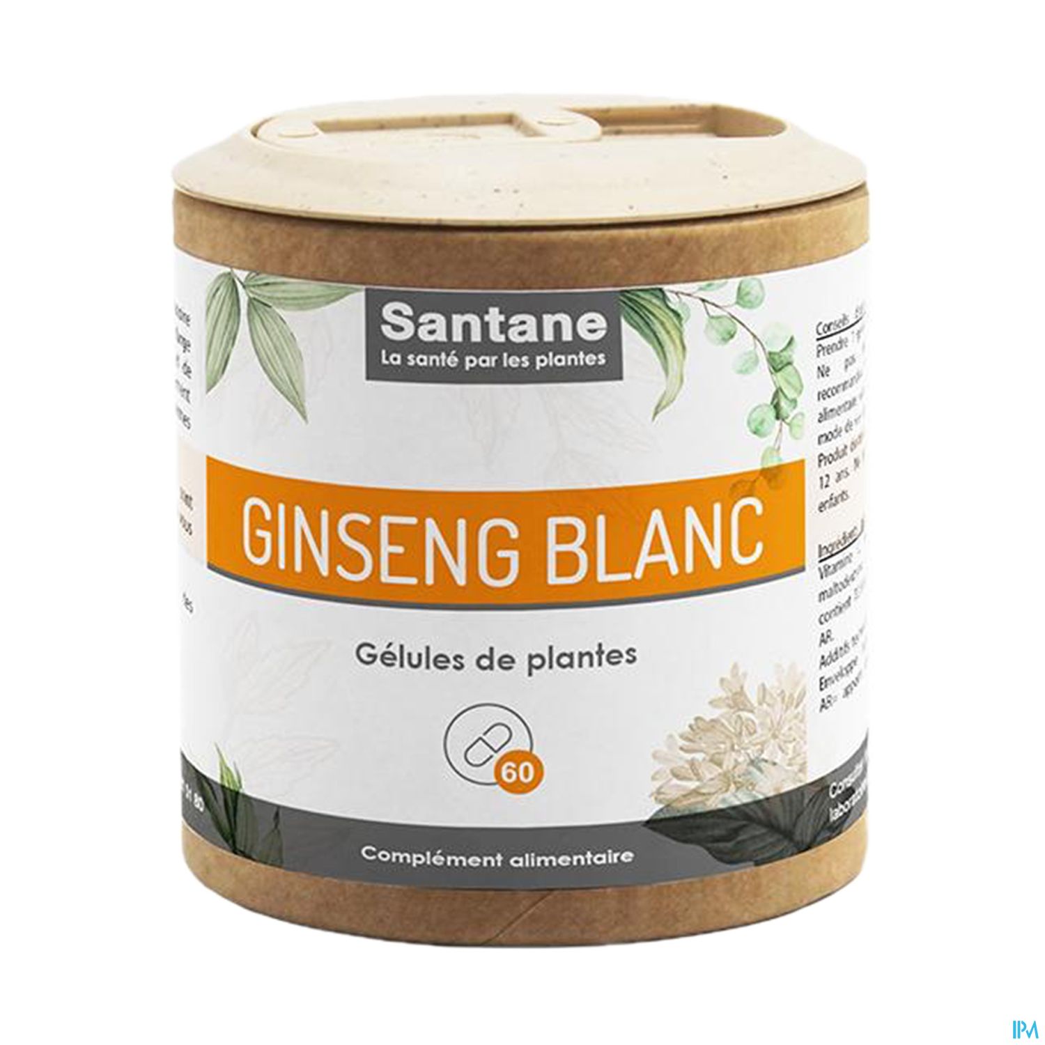 GINSENG BLANC SANTANE GELUL 60