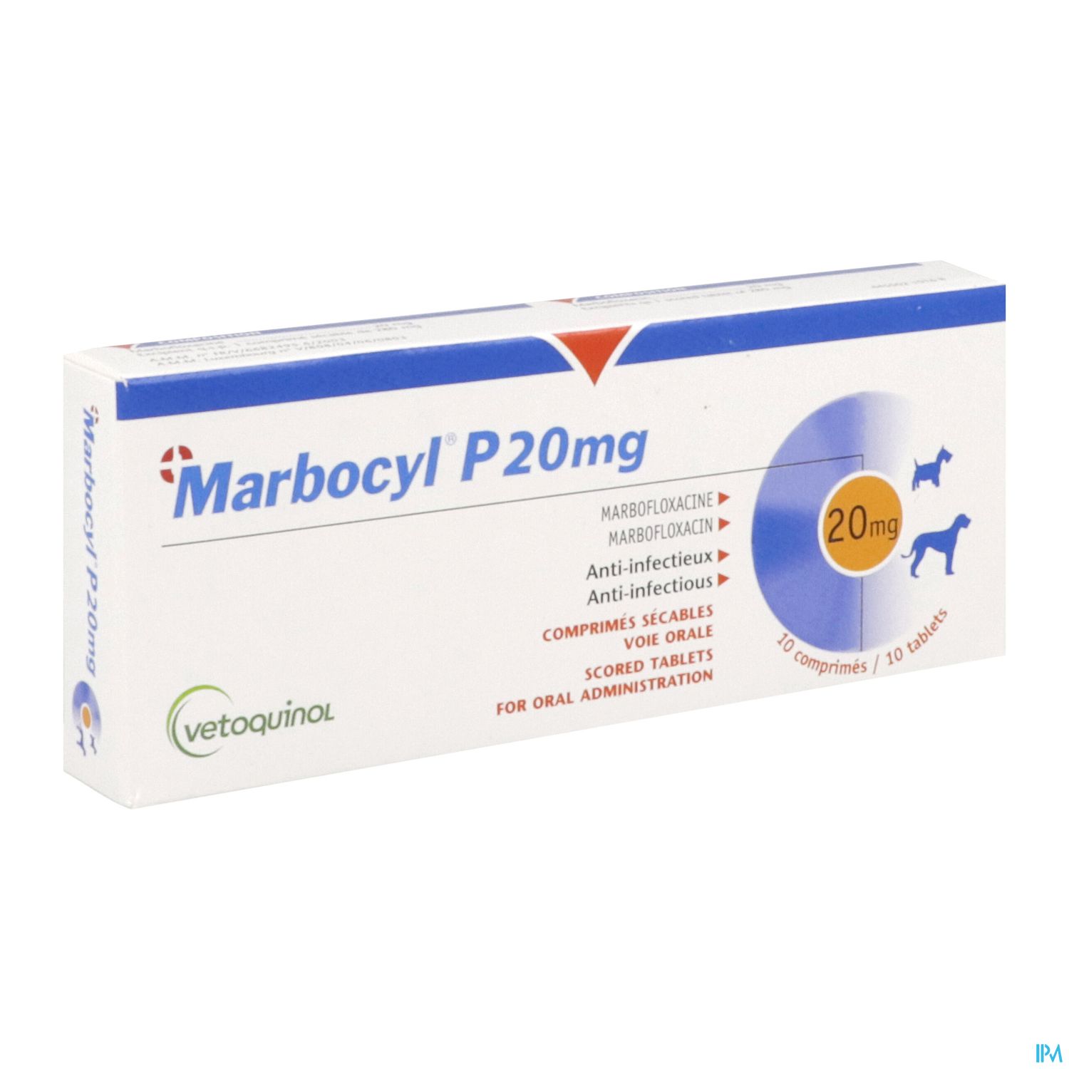 MARBOCYL P CPR 20MG SECABL 10