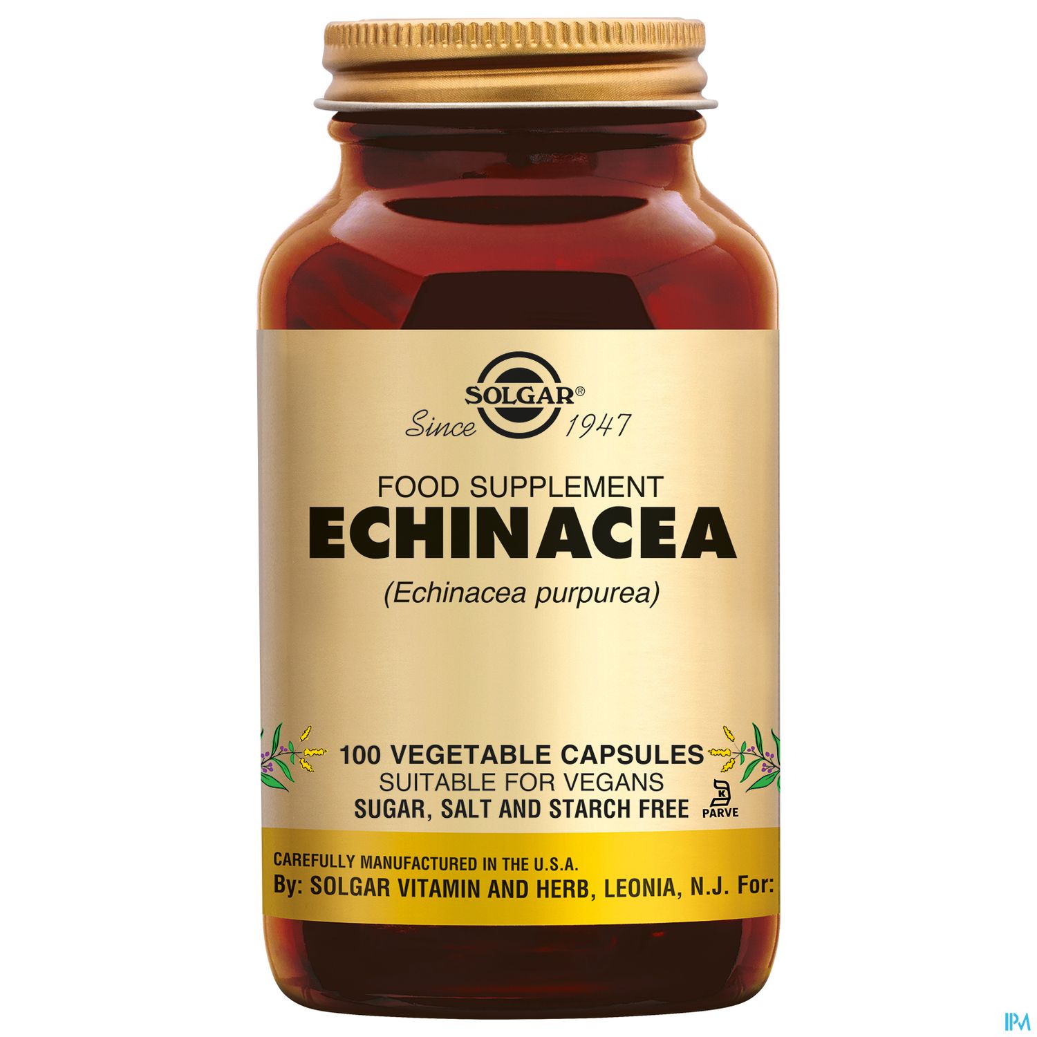 SOLGAR ECHINACEE GELUL VEG 100