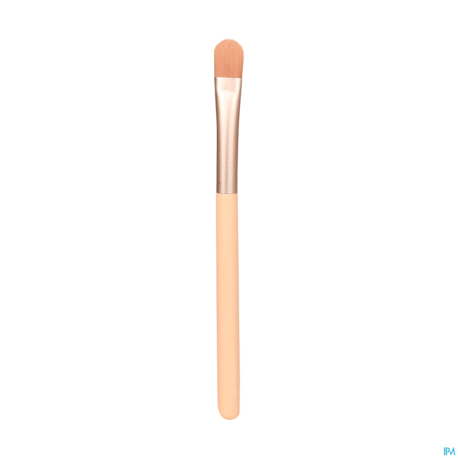 Charlotte Bio Pinceau Special Paillettes 1 Unite