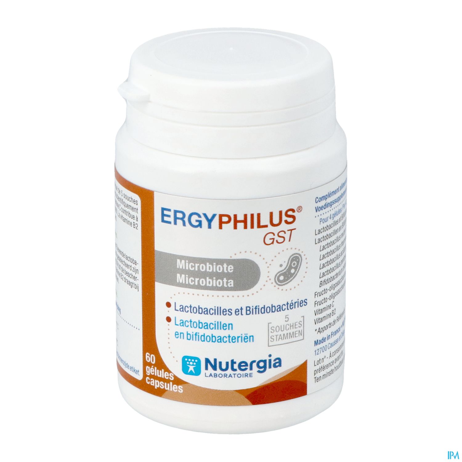 ERGYPHILUS GST GELUL 60