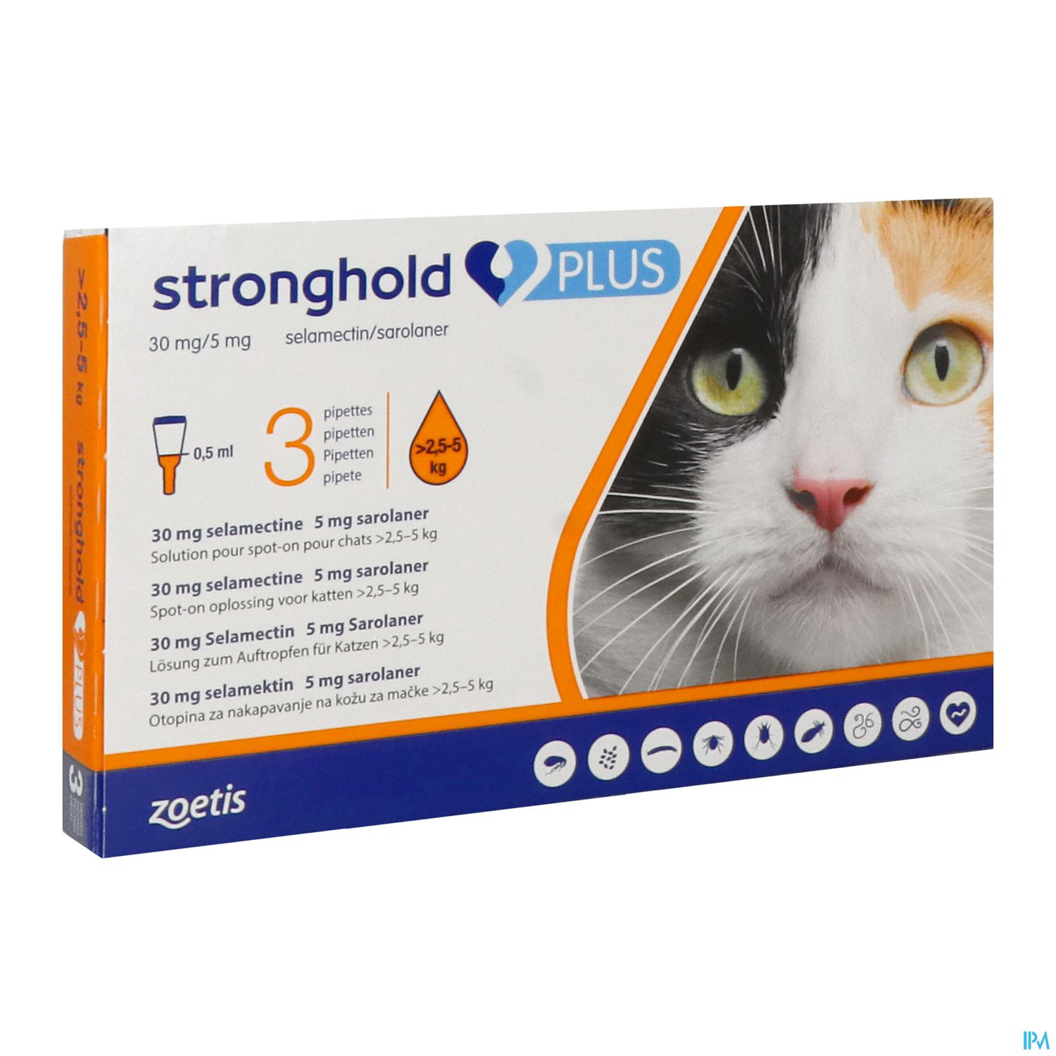 STRONGHOLD PLUS SPOTON CHAT MOYEN3