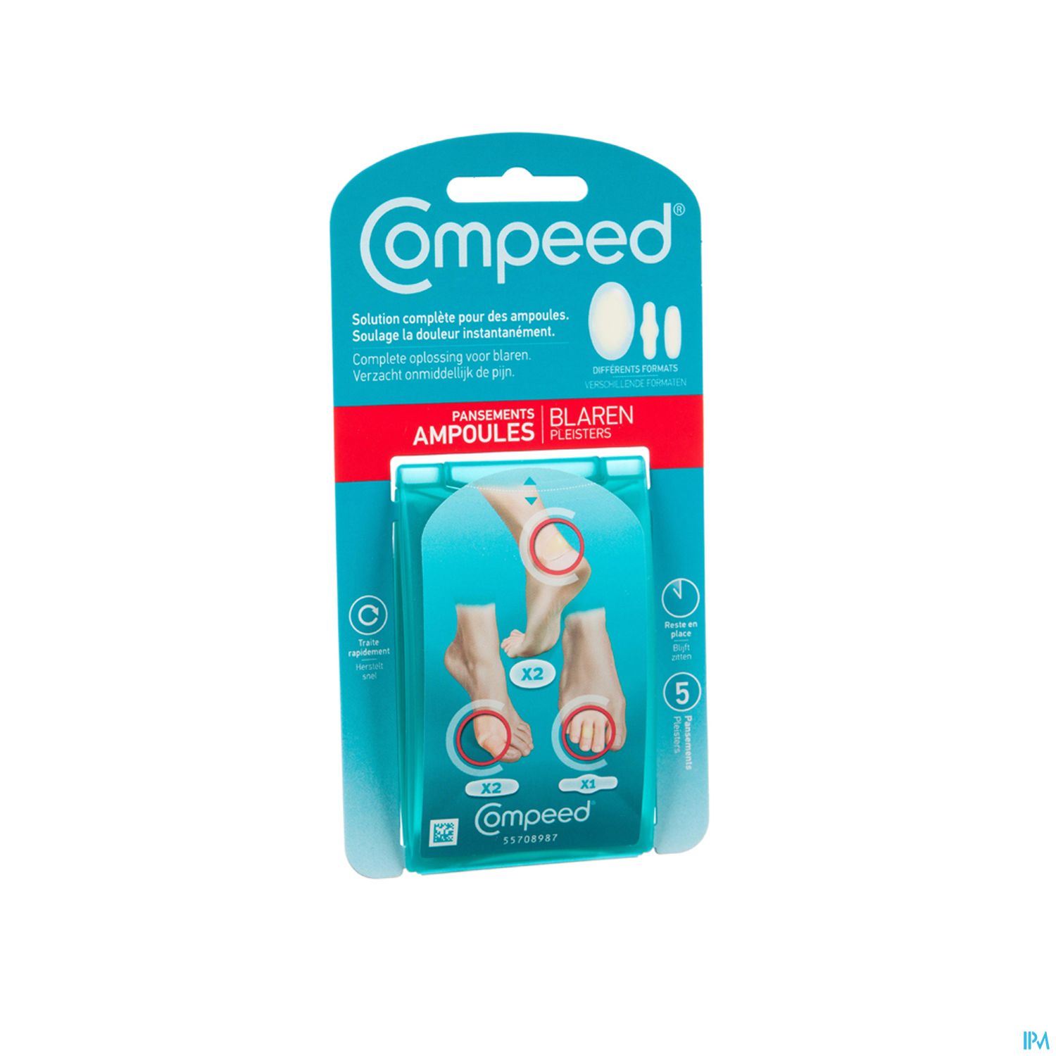 COMPEED PANS AMP ASSORTIMENT BTE 5
