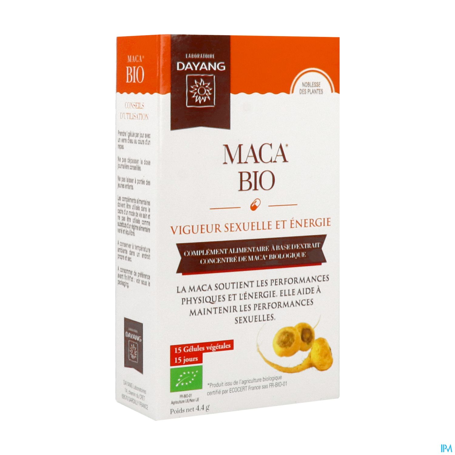 DAYANG MACA BIO GELUL 15