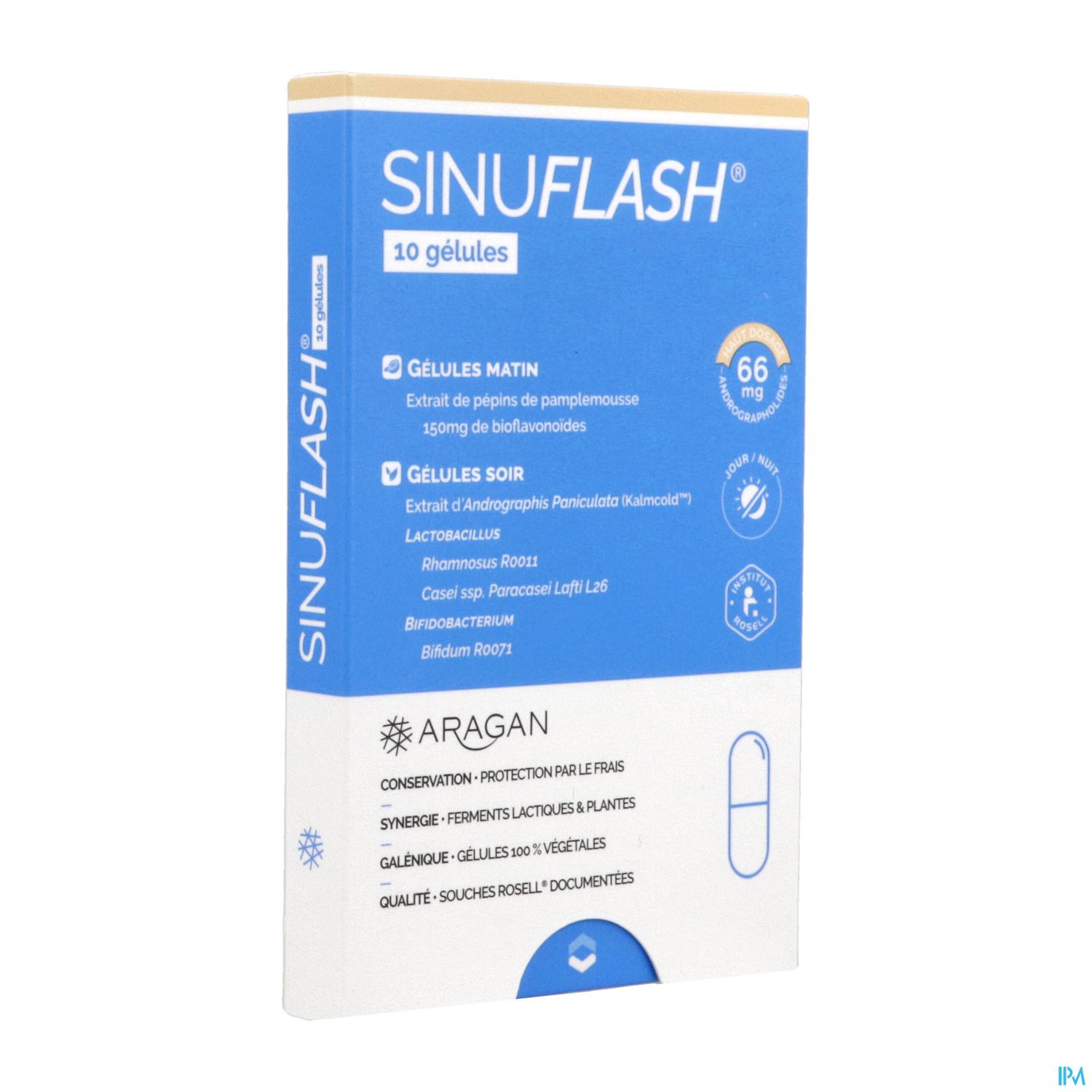 ARAGAN SINUFLASH GELUL 10