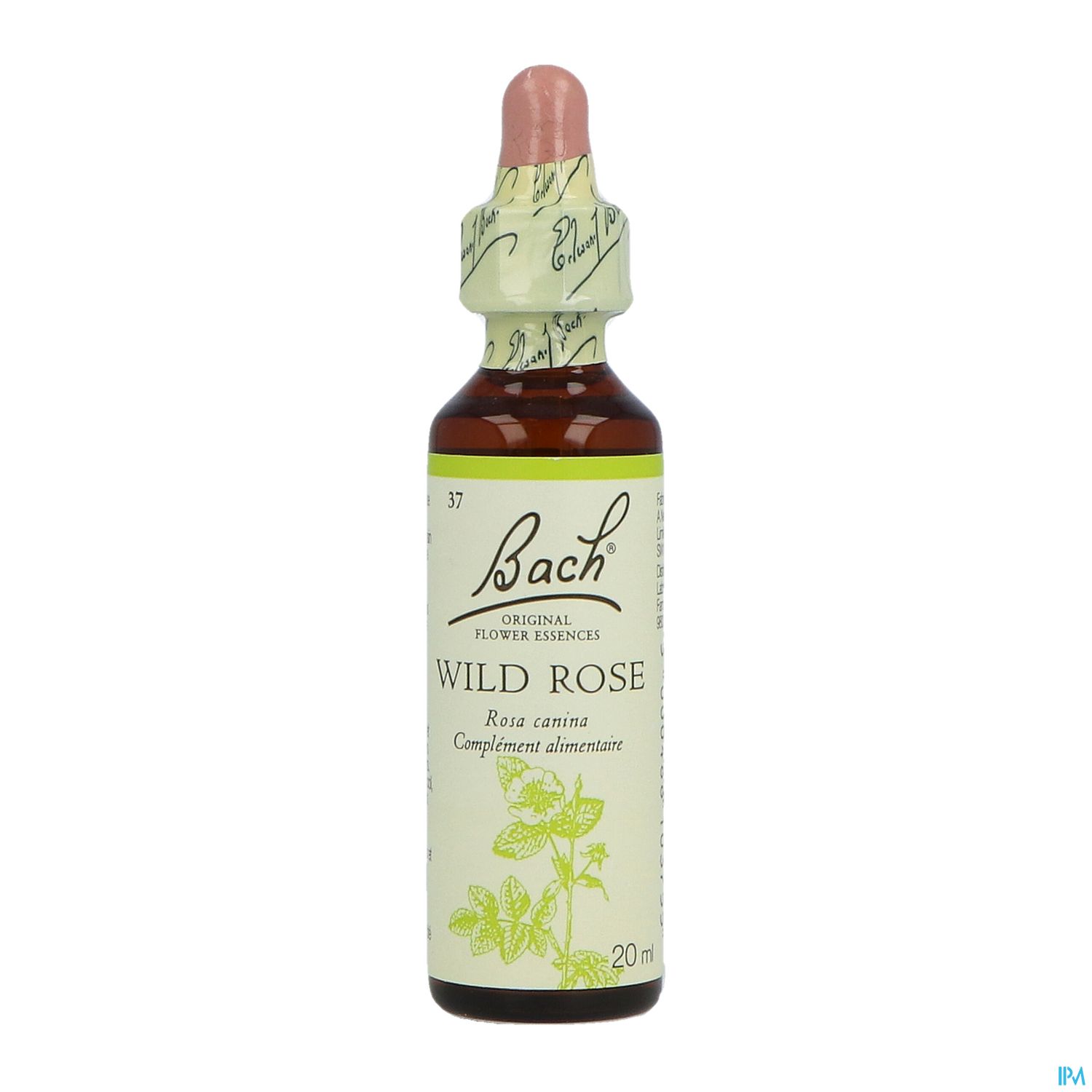 Fleurs De Bach Original 37 Wild Rose Compte Gouttes 20ml