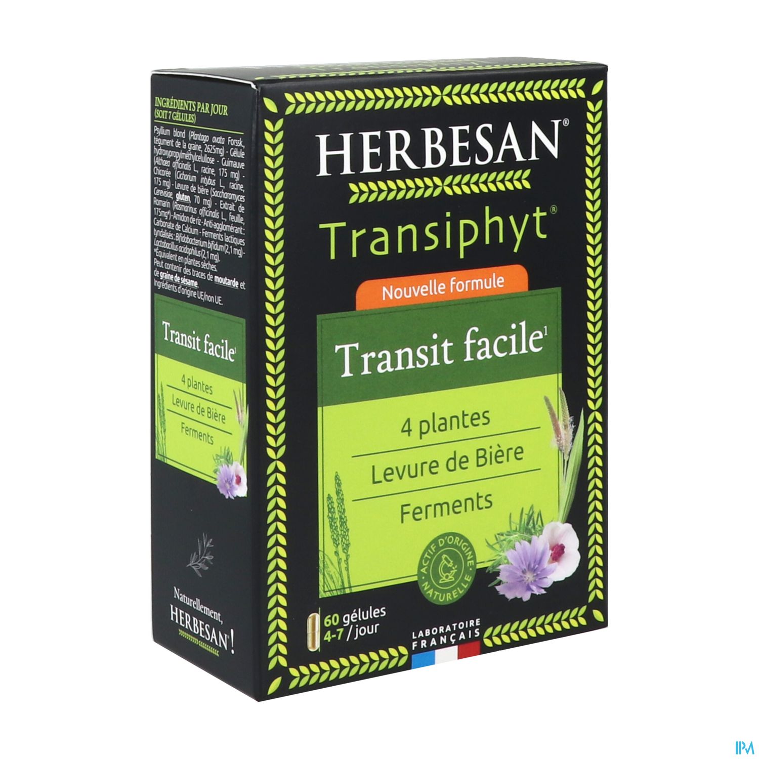 HERBESAN TRANSIPHYT GEL60