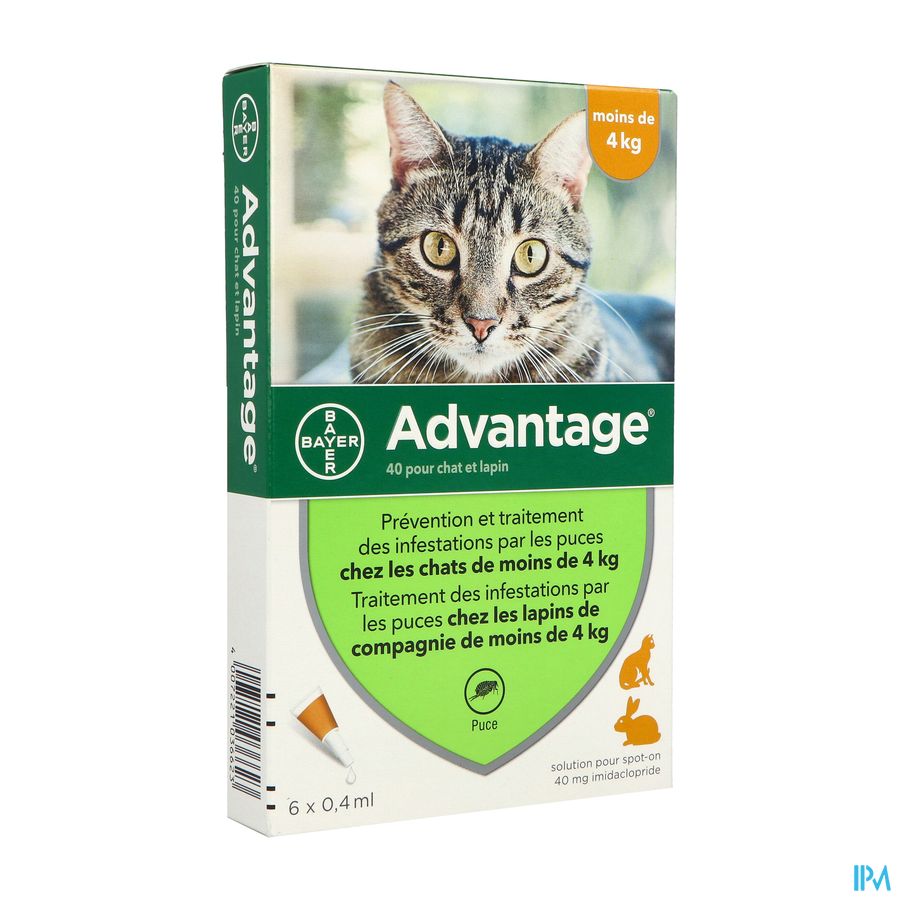Elanco Advantage Chat Lapin 40 Spot On Solution 0ml4 X6