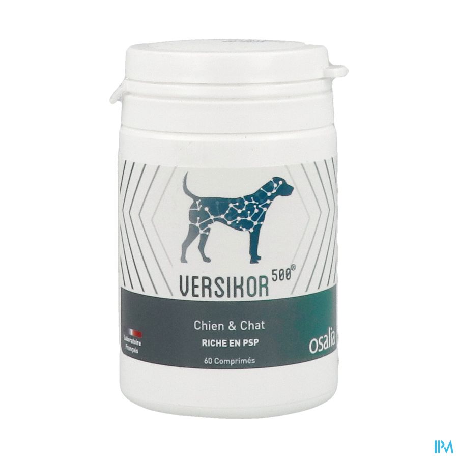 Versikor 500 Chien Chat Comprime 60