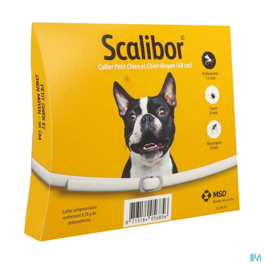 COLL INS CHIEN PTMOY SCALIBOR
