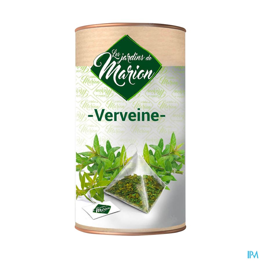JARDIN DE MARION VERVEINE INF12