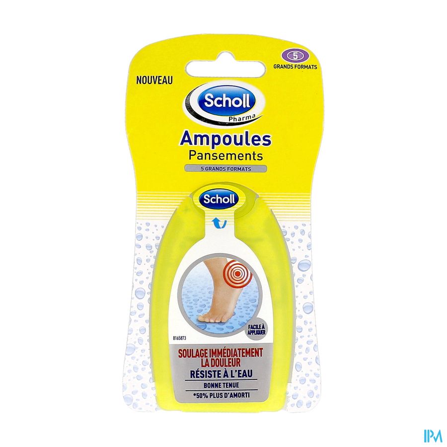 SCHOLL PANS AMP TALON GM 5