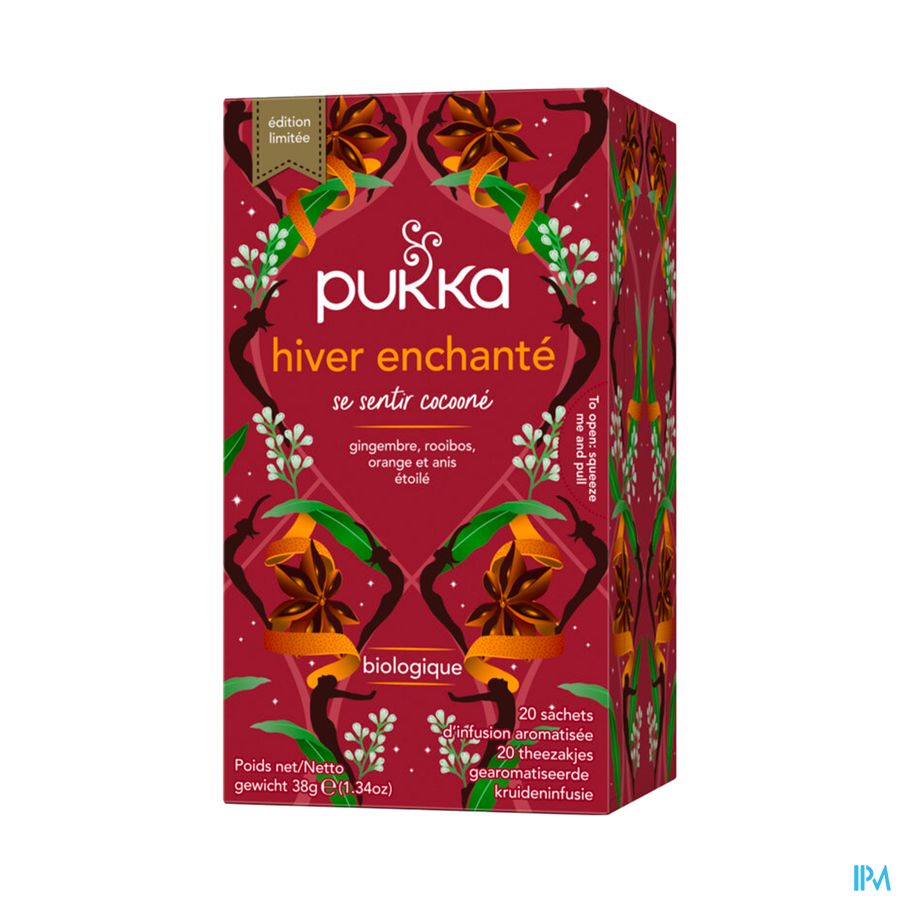 PUKKA INFUS HIVER ENCHANTE SACH20