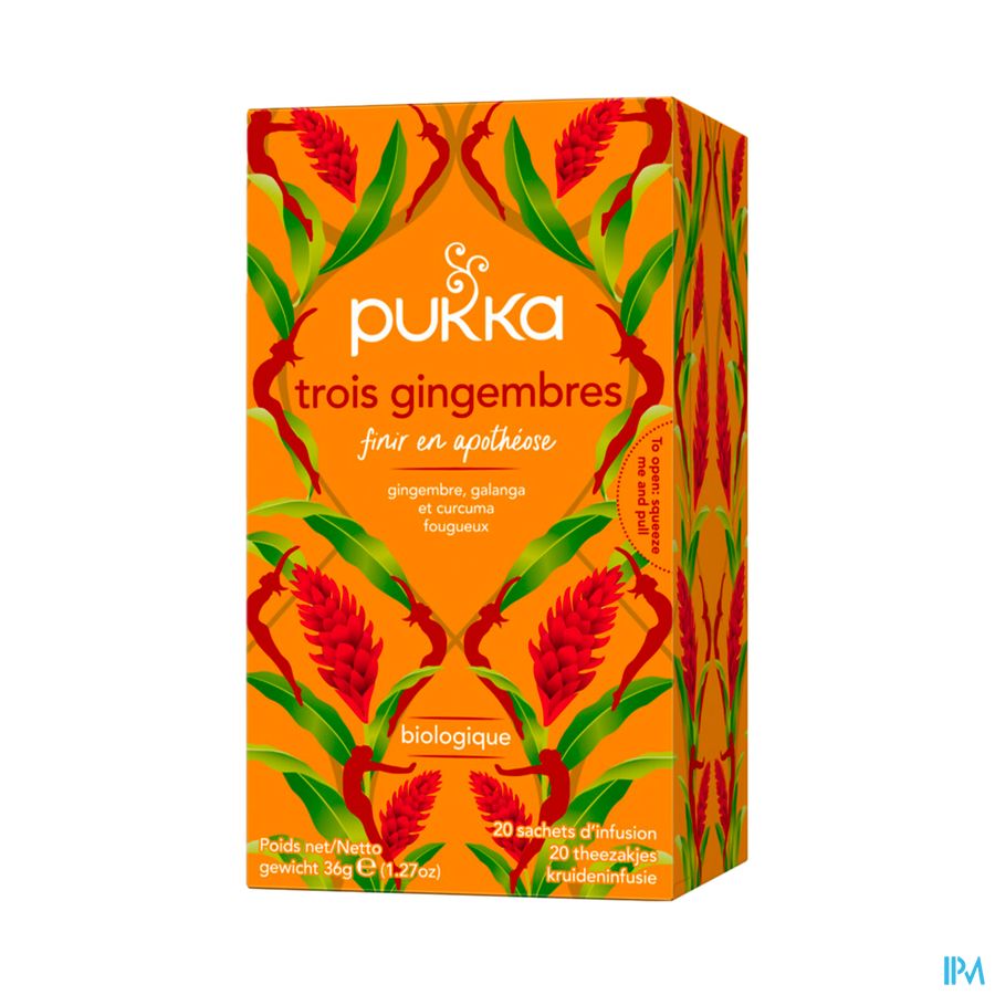 Pukka Infusion 3 Gingembres Bio Sachet 20