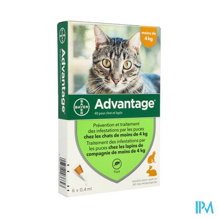Elanco Advantage Chat Lapin 40 Spot On Solution 0ml4 X6