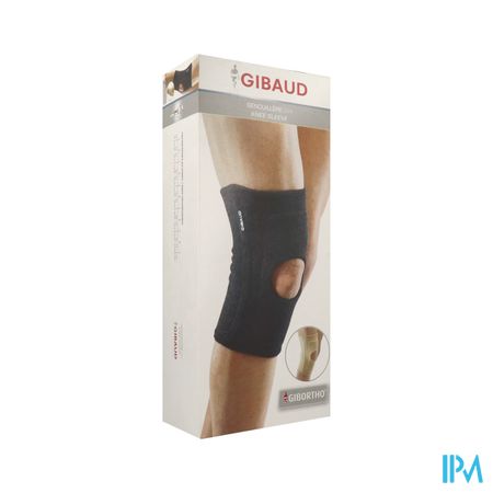 GENOUIL GIBAUD DV4 6618 ANTHR T5