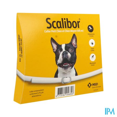 COLL INS CHIEN PTMOY SCALIBOR