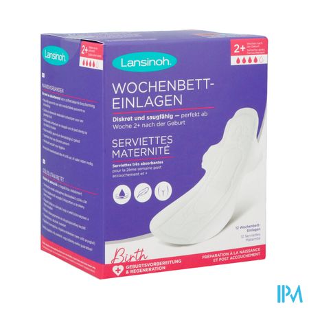 LANSINOH SERV MATERNITE X12