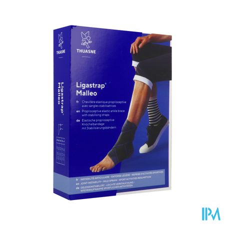 CHEVIL LIGASTRAP MALLEO V2 T1