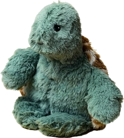 Warmies Bouillotte Cozy Peluche Tortue