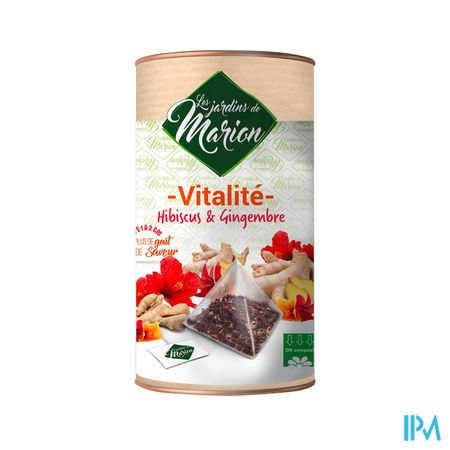 Les Jardins De Marion Infusion Vitalite Infusette 12