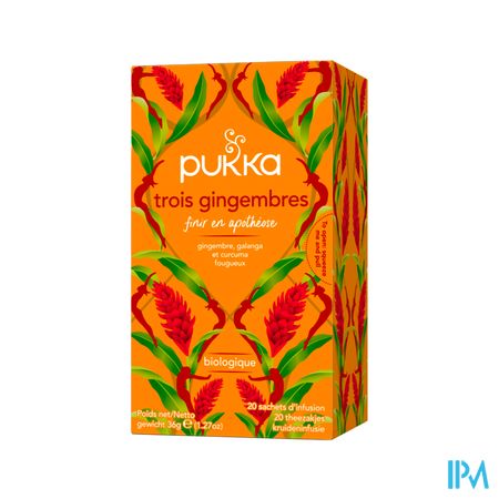 Pukka Infusion 3 Gingembres Bio Sachet 20